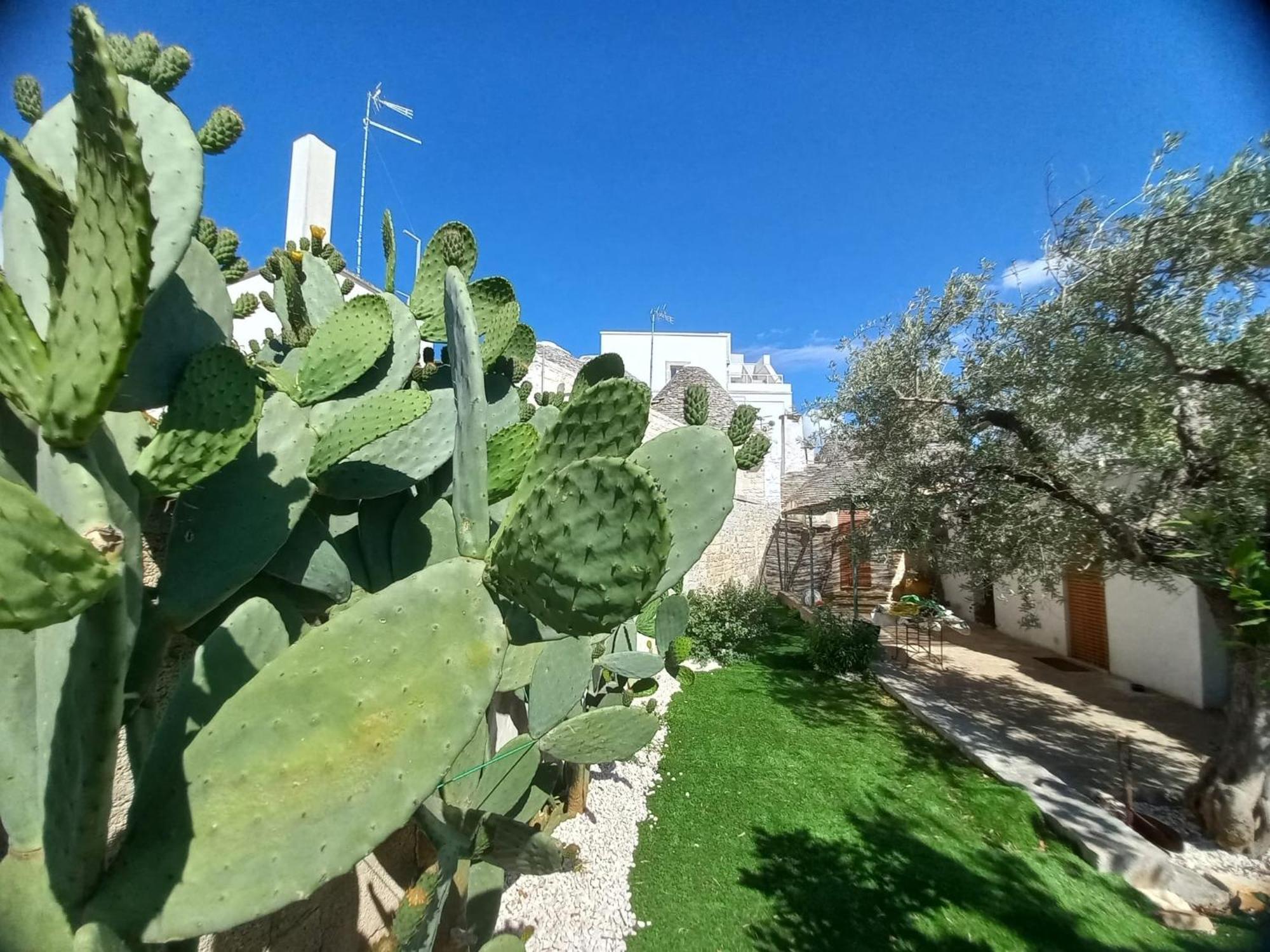 Trullo Vacanza Alberobello Zimmer foto